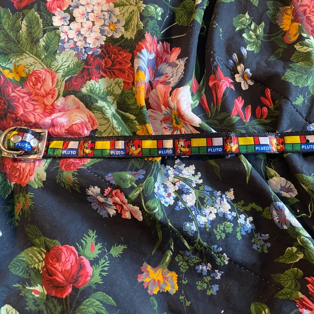 Colorful Pluto Dog Collar